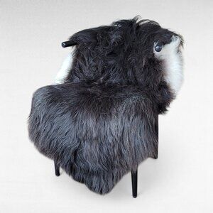 Genuine Icelandic Sheepskin Rug XXL Natural Black-Brown White Edges 56" x 36"